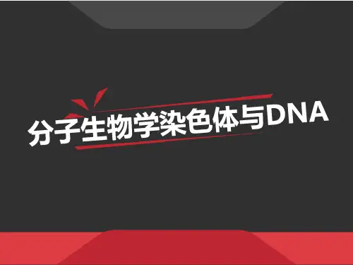 分子生物学染色体与DNA PPT