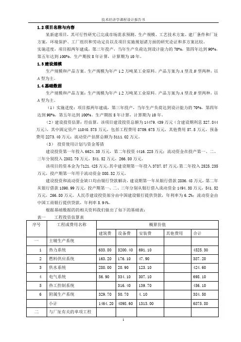 建设工业项目财务评价报告