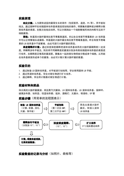 大肠杆菌微生物培养实验报告及评价标准