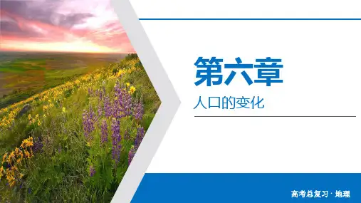 高三地理一轮复习课件：高考必考题突破讲座七——人口统计图的判读