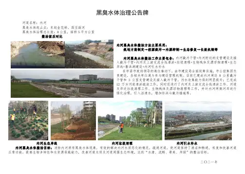 黑臭水体治理公告牌