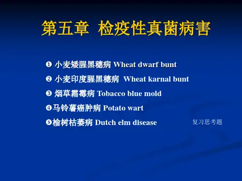 第五章检疫性真菌病害
