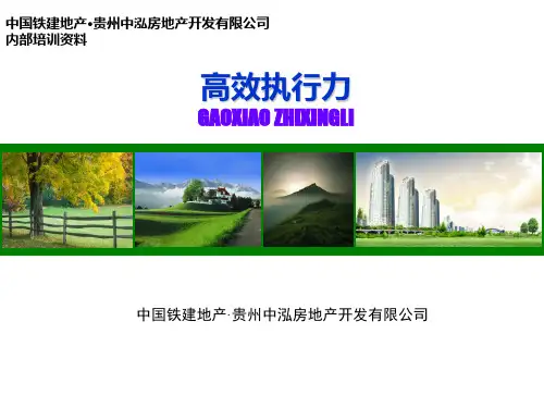 高效执行力(全员)