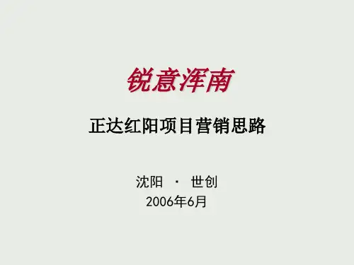 某项目营销思路讲义