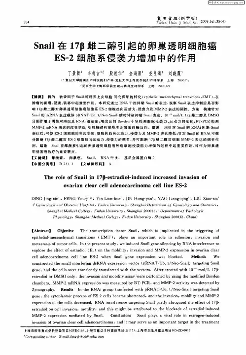 Snail在17β雌二醇引起的卵巢透明细胞癌ES-2细胞系侵袭力增加中的作用