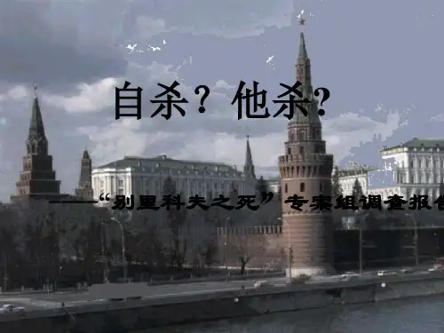 装在套子里的人ppt(1)