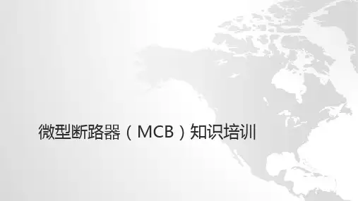 (完整版)微型断路器(MCB)知识培训