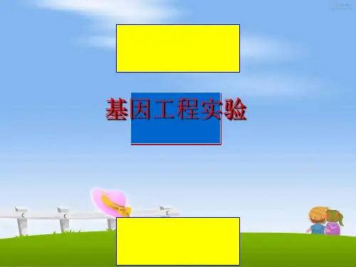 最新基因工程实验