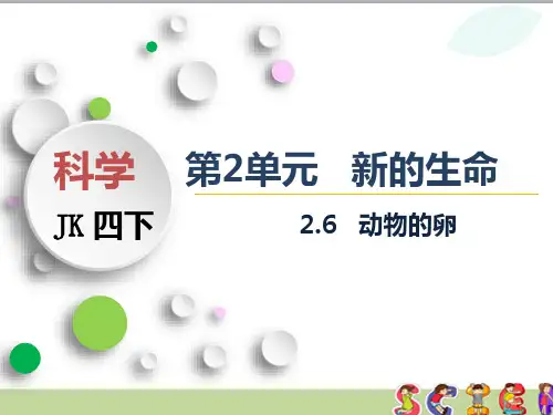 教科版四年级科学下册2.6 动物的卵(教学课件)