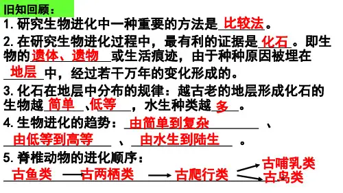 第三节 生物进化的原因课件 (优质课)