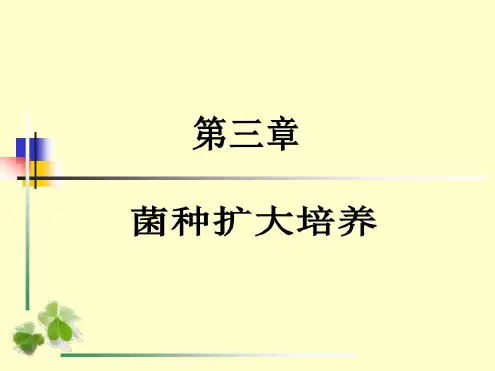 菌种扩大培养
