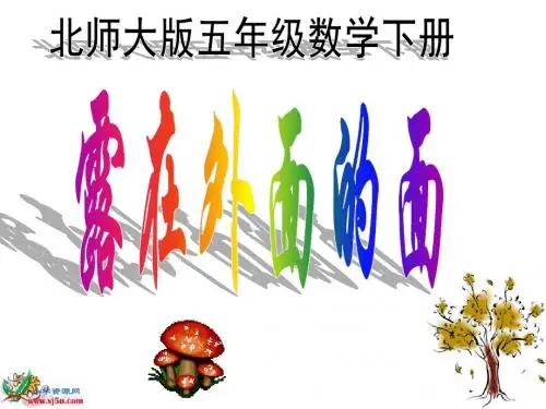 《露在外面的面》PPT课件 北师大数学五年级下册PPT课件