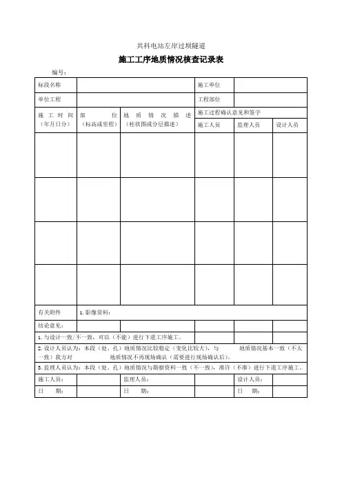 地质核查记录表