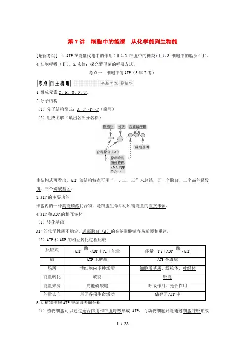 高考生物一轮复习第四单元细胞的能量供应与利用第7讲细胞中的能源从化学能到生物能创新备考学案中图版