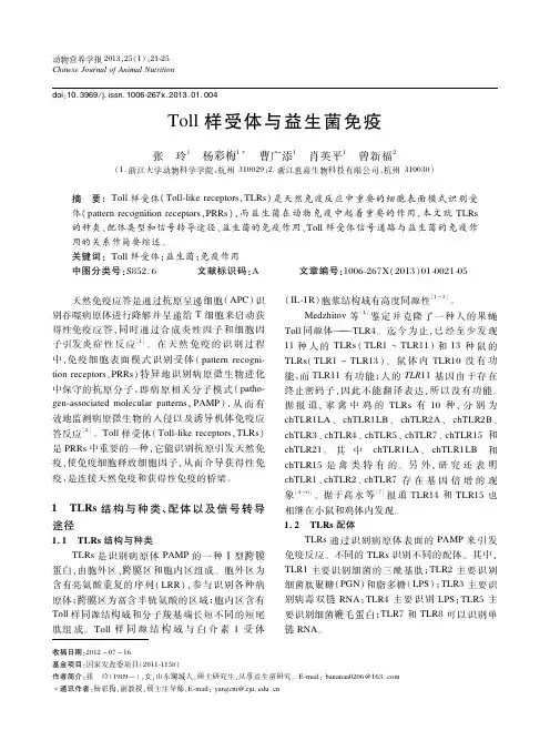 Toll样受体与益生菌免疫