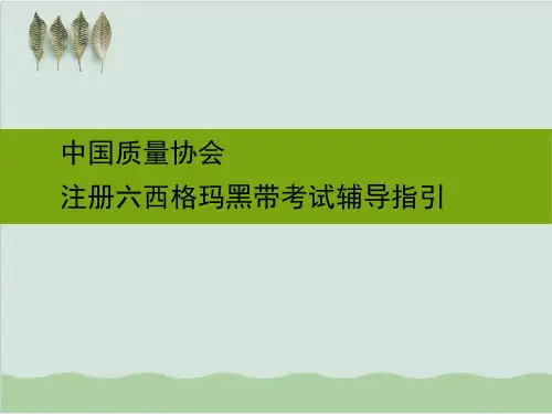 注册六西格玛黑带考试辅导指引PPT课件(99页)