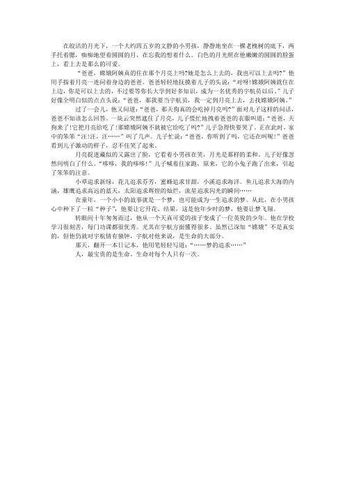 梦的追求