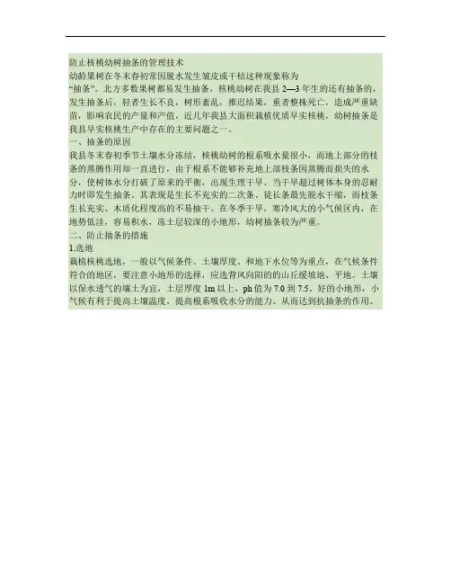 防止核桃幼树抽条的管理技术解析
