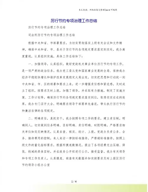 厉行节约专项治理工作总结