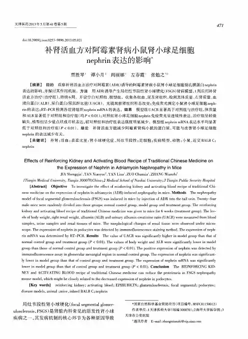 补肾活血方对阿霉素肾病小鼠肾小球足细胞nephrin表达的影响