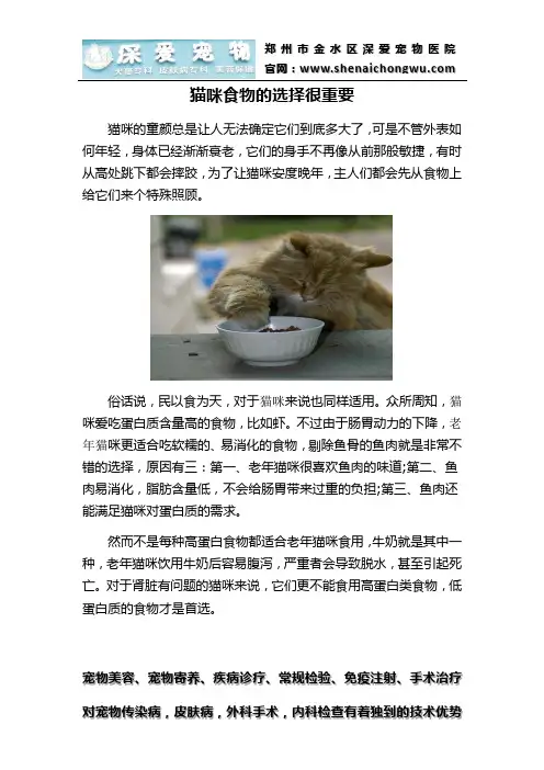 猫咪食物的选择很重要