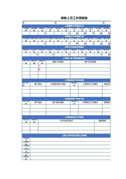 销售人员工作周报表
