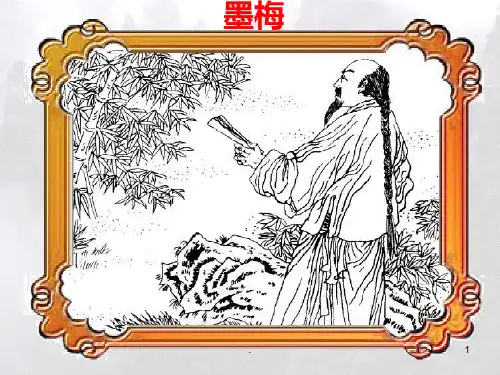语文《墨梅》PPT课件
