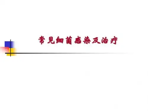 常见细菌感染及治疗(97页)