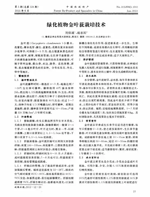 绿化植物金叶莸栽培技术