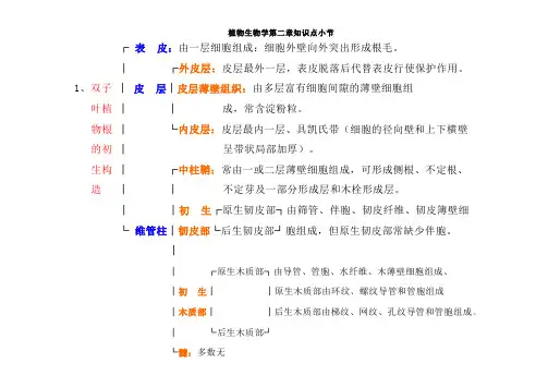 植物学 第一章和第二章复习提纲