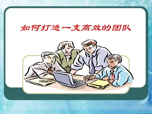 如何打造一支高效的团队