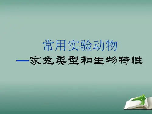 常用实验动物—家兔类型和生物特性