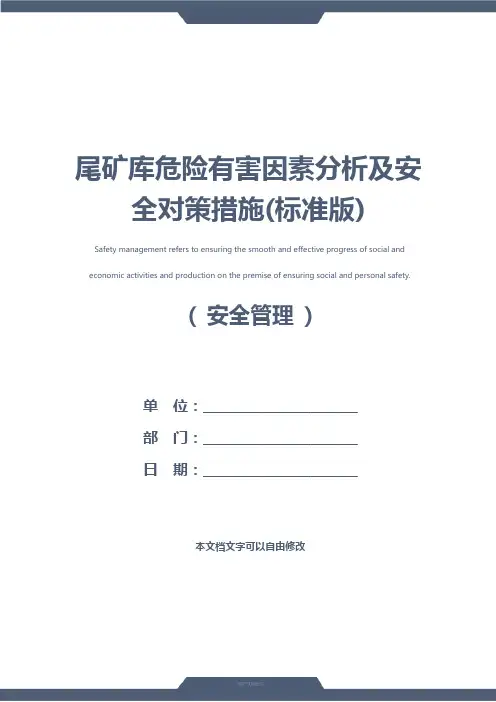 尾矿库危险有害因素分析及安全对策措施(标准版)