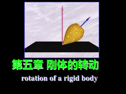 刚体的动量与角动量