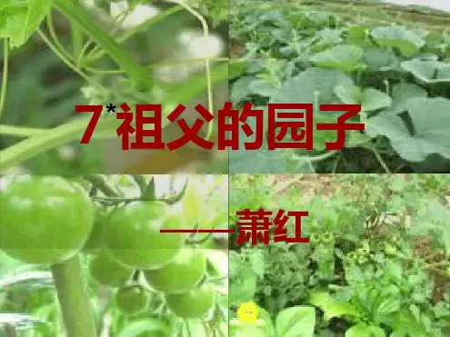 完整版祖父的园子完美版
