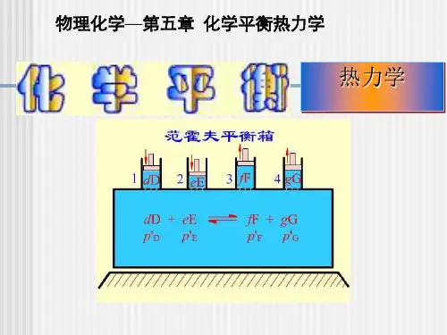化学平衡热力学