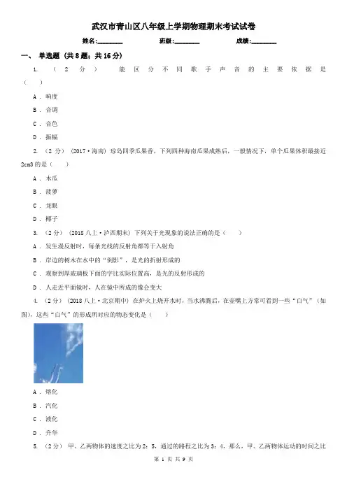 武汉市青山区八年级上学期物理期末考试试卷