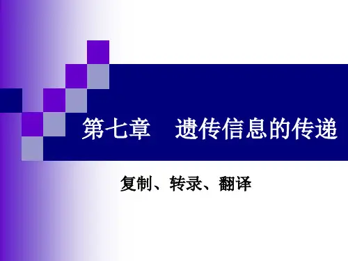 遗传信息传递-1