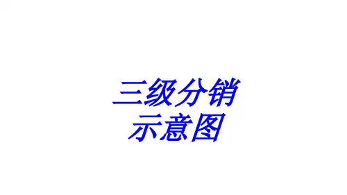三级分销示意图专题培训课件
