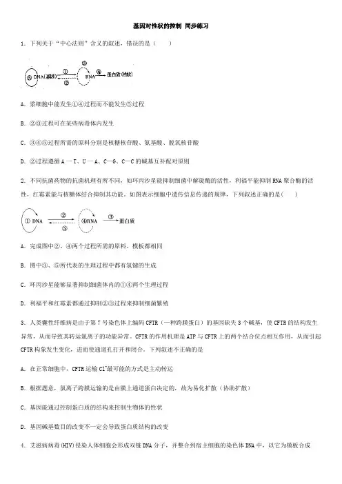 4.2 基因对性状的控制-人教版高中生物必修2同步练习