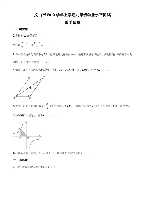 云南省文山市2019-2020学年九年级上学期期末数学试题