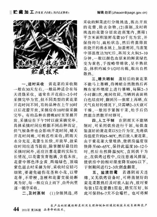 黄花菜采收与加工贮藏技术