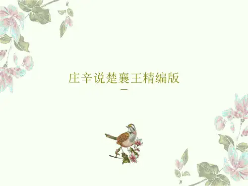 庄辛说楚襄王精编版28页PPT