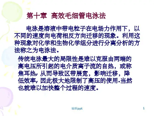 《高效毛细管电泳》PPT课件