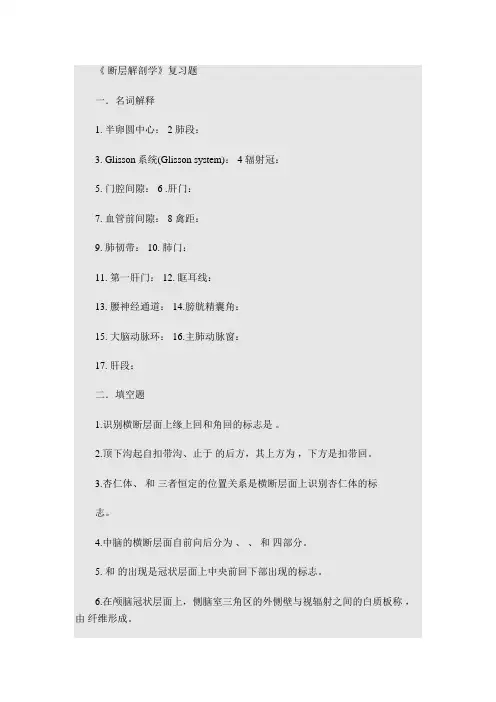 断层解剖学试题