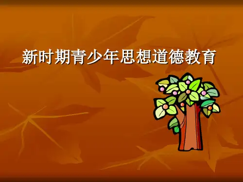 新时期青少年思想道德教育 PPT课件 