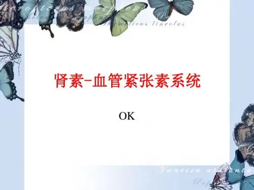 肾素-血管紧张素系统ok