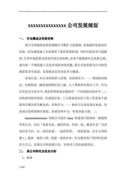 建筑公司发展规划报告