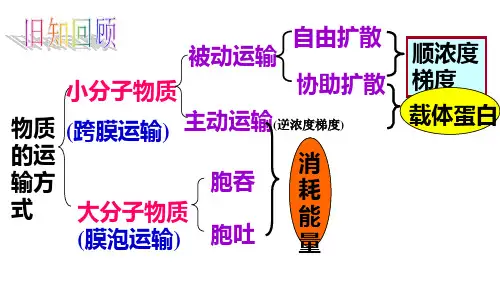 高中生物必修一5.1酶优质PPT