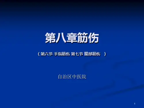 屈指肌腱断裂PPT课件
